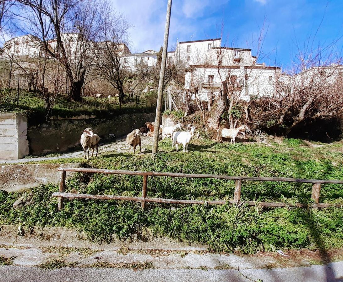 Le Origini Casa In Borgo Tipico Lucano Trivigno Extérieur photo